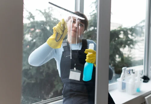 Nettoyage de vitres intérieures et extérieures à Briord
